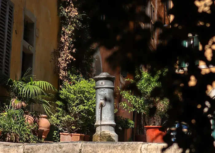 Colosseo Garden