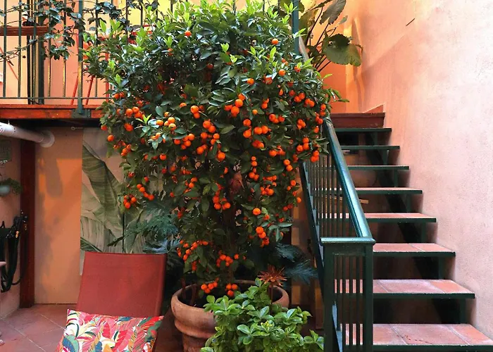 Colosseo Garden * Roma
